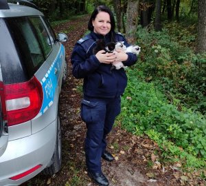 zdjęcia przedstawiają policjantkę, trzymającą kocięta, oraz same kotki