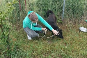 Policjantka oraz pracownicy sklepu  wybierają kuchnie gazową, mutują w domu , widać stojąca policjantkę na tle samochodu dostawczego oraz rozpakowującą kuchnię w domu . Na zdjęciach widać także wolontariuszy w schronisku dla zwierząt