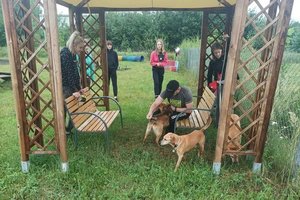 Policjantka oraz pracownicy sklepu  wybierają kuchnie gazową, mutują w domu , widać stojąca policjantkę na tle samochodu dostawczego oraz rozpakowującą kuchnię w domu . Na zdjęciach widać także wolontariuszy w schronisku dla zwierząt