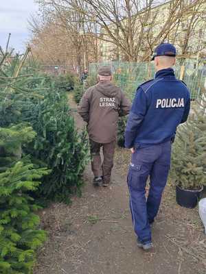 policjant, strażnik leśny, choinki.