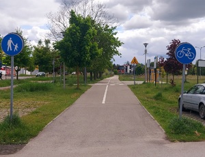 ścieżka rowerowa, znaki drogowe: ścieżka dla pieszych, ścieżka rowerowa.