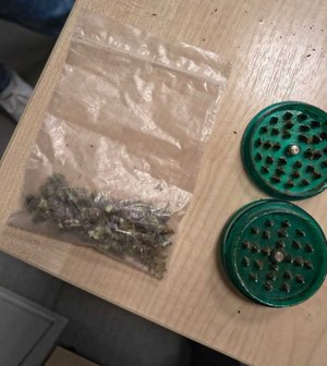 torebka foliowa z zielonym suszem roślinnym, dwie części młynka do suszu w kolorze zielonym.