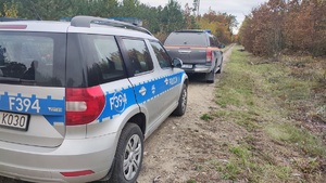 radiowóz policyjny i straży leśnej, droga w lesie.