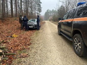 radiowóz straży leśnej, samochód stoi na leśnej drodze, obok dwóch policjantów i strażnik leśny, na ziemi lezy piła motorowa.