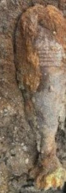 pocisk w kolorze brązowym leży na ziemi.