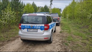 radiowóz policyjny i radiowóz straży leśnej na drodze leśnej.